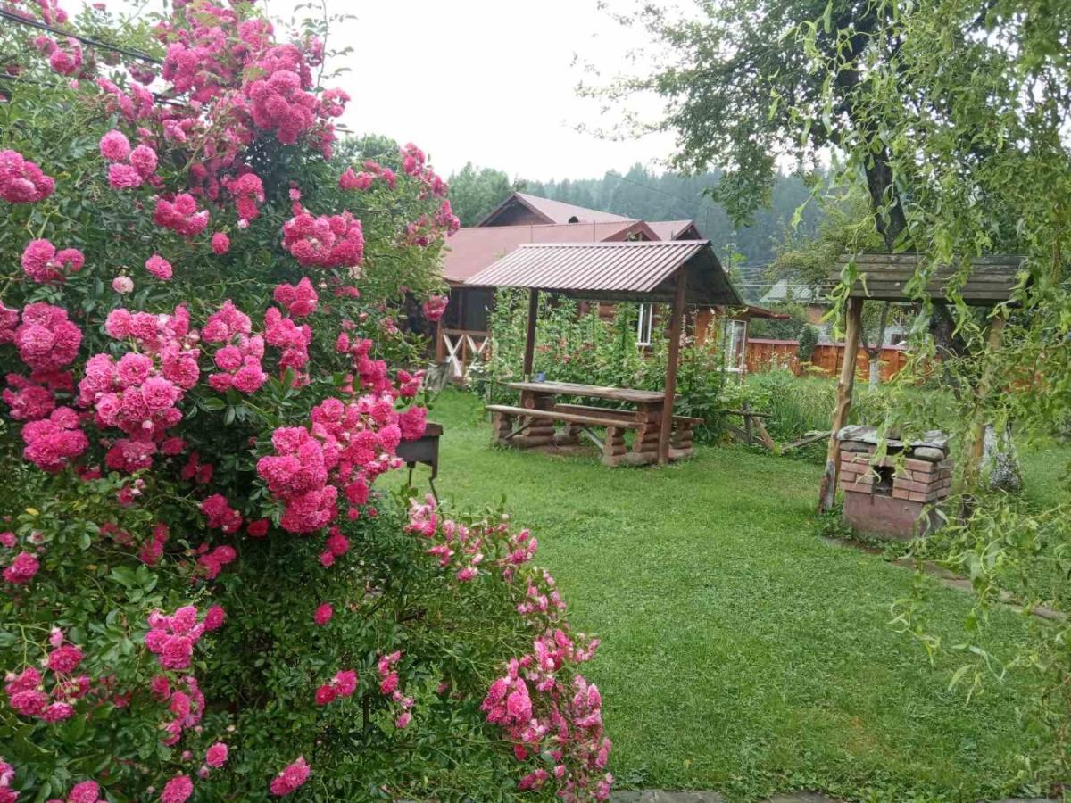 베르코비나 Pidkova 빌라 외부 사진